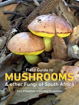 cover image of Field Guide to Mushrooms & Other Fungi of South Africa